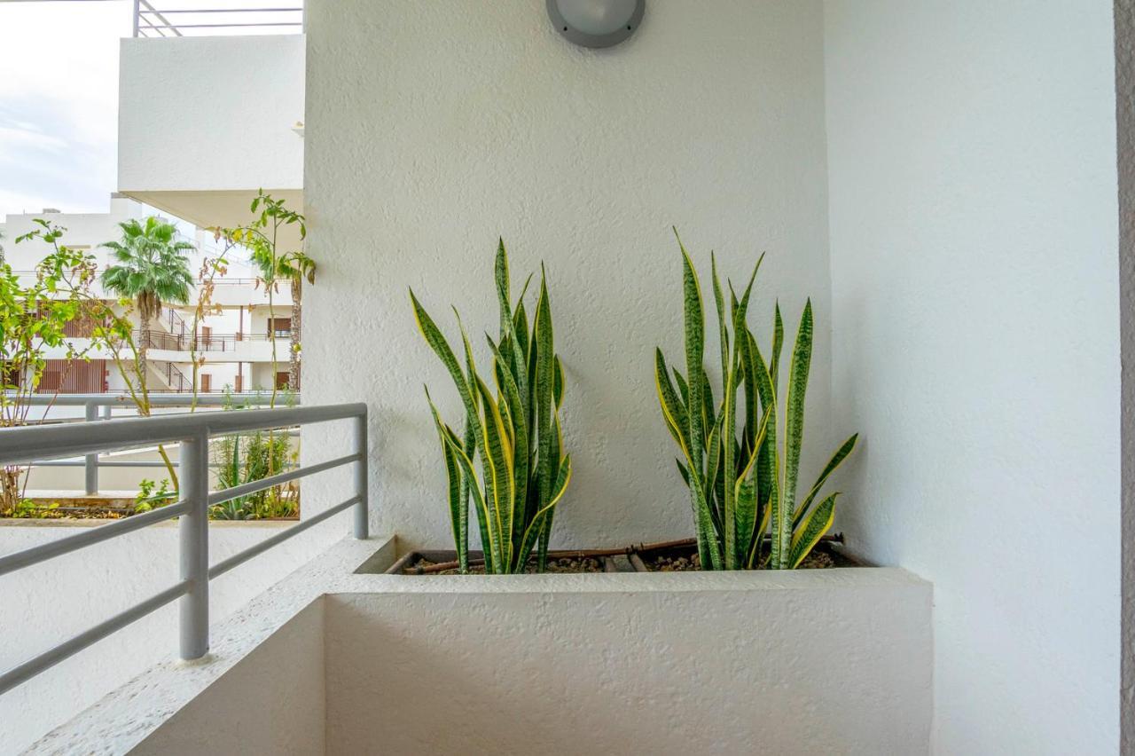 Dehesa de Campoamor  Cb Living - Modern Apartment, Terrazas De Campoamor מראה חיצוני תמונה